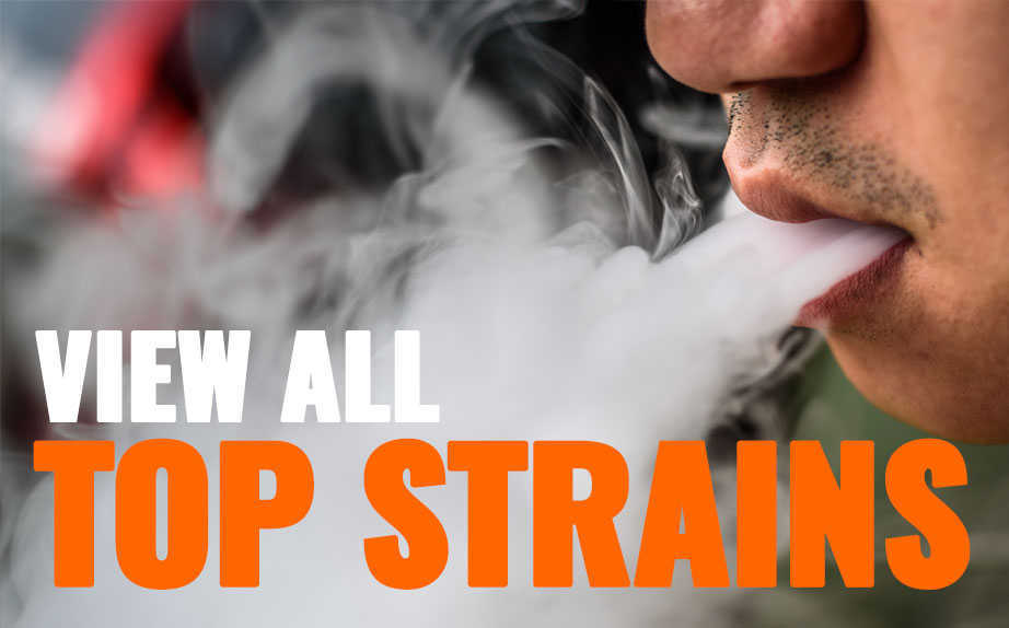 top 10 marijuana strains