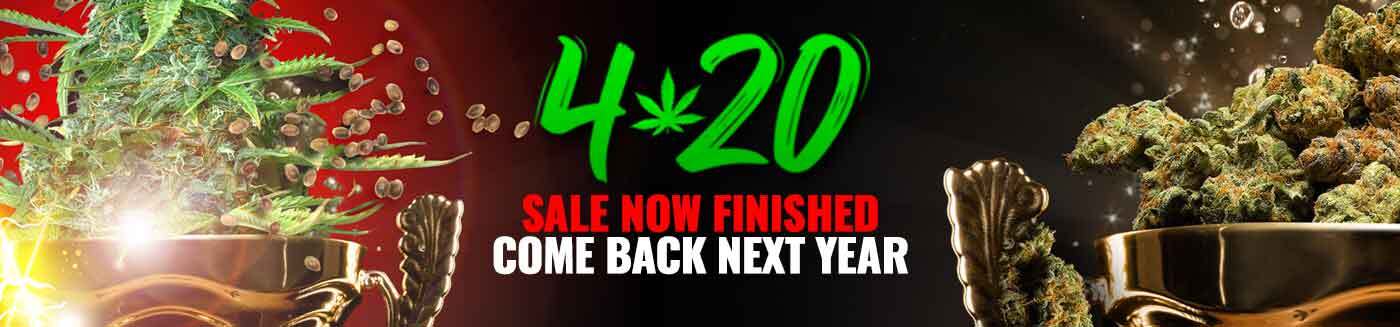 420 Sale 420 Sale