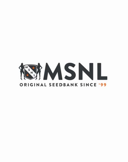 Sensi Kush Marijuana Seeds
