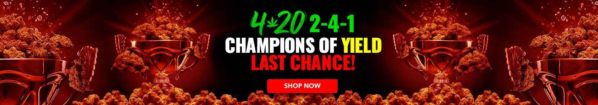 MSNL 420 sale last chance