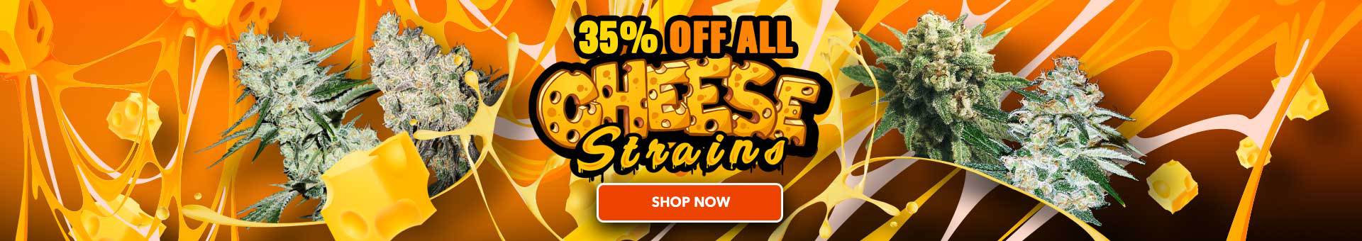 35% off cheese strains
