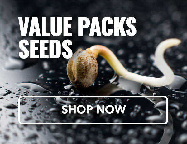 cannabis value packs
