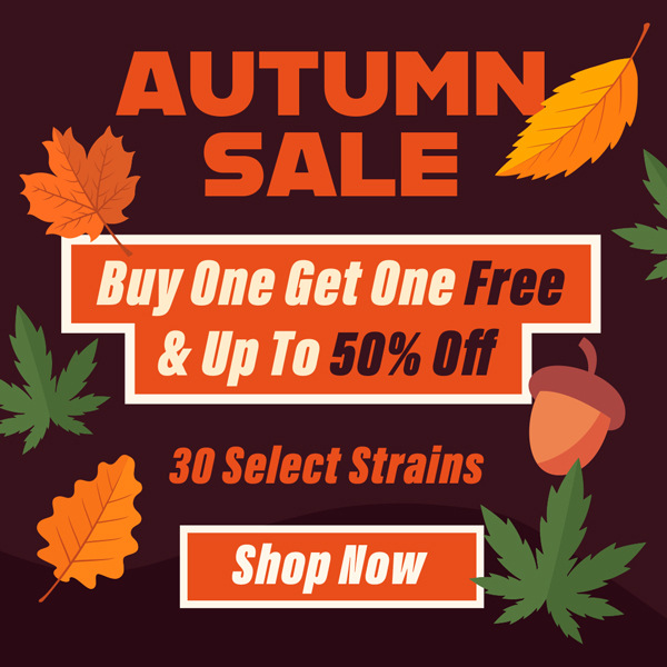 Autumn Sale