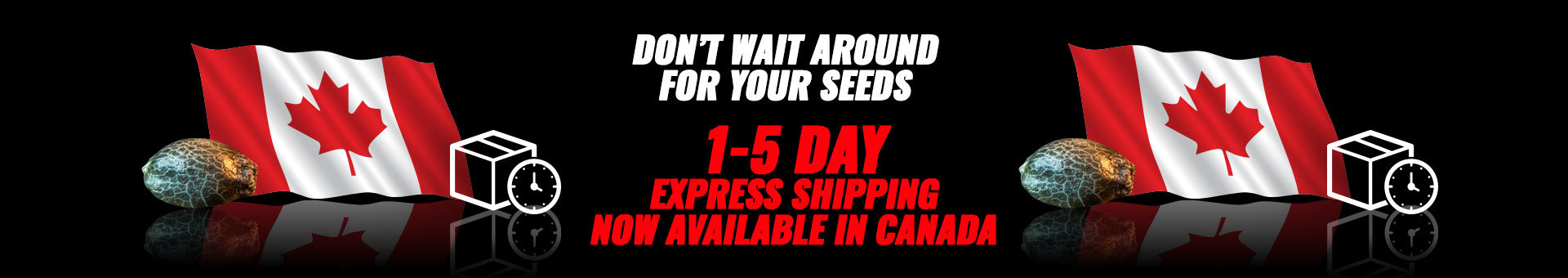 Canada Express Shipping
