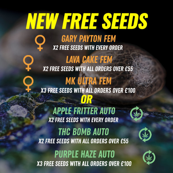 Free Seeds