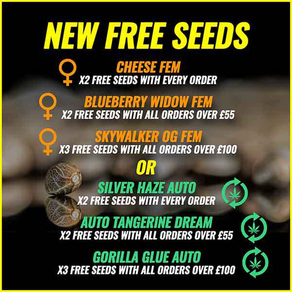 Free Seeds