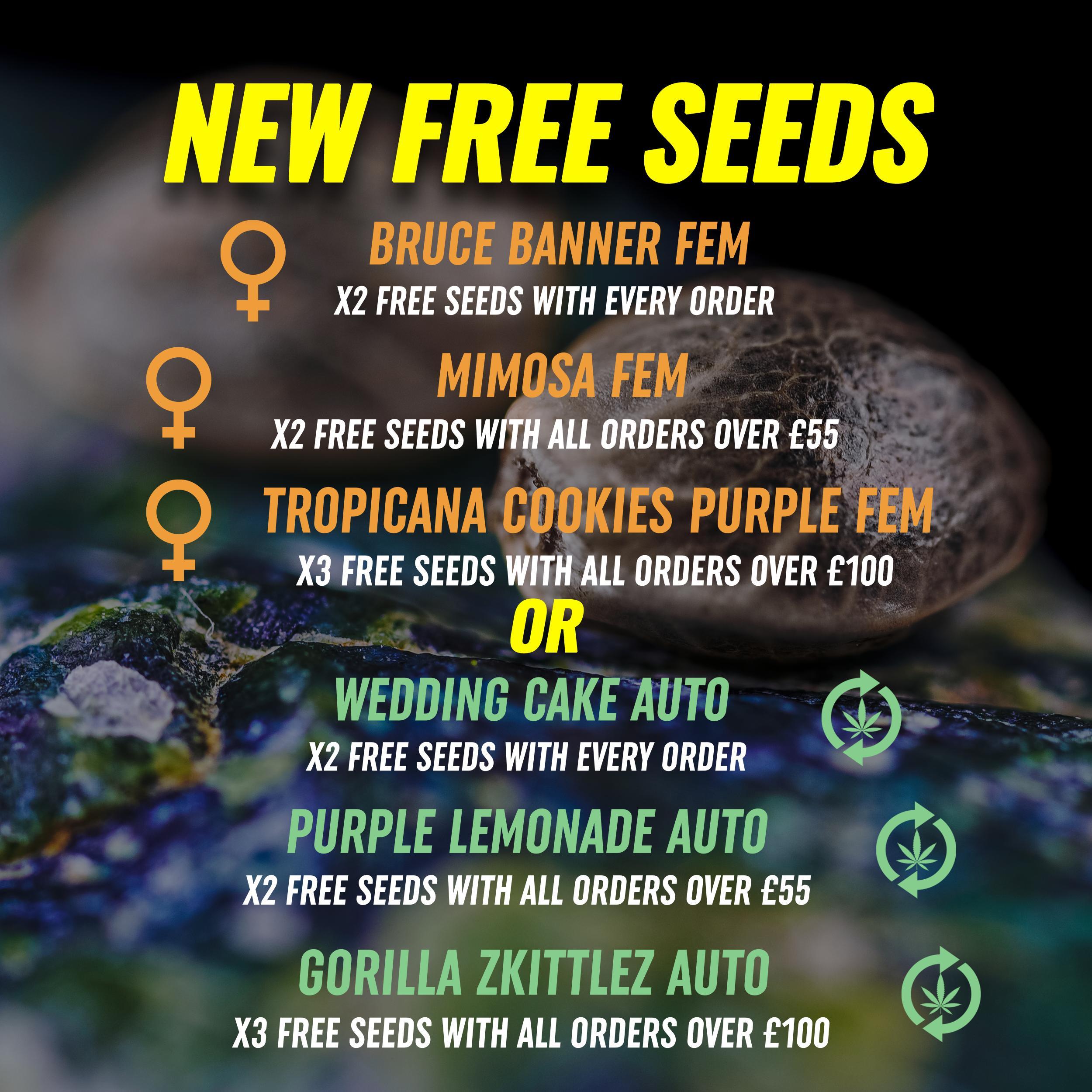 Free Seeds