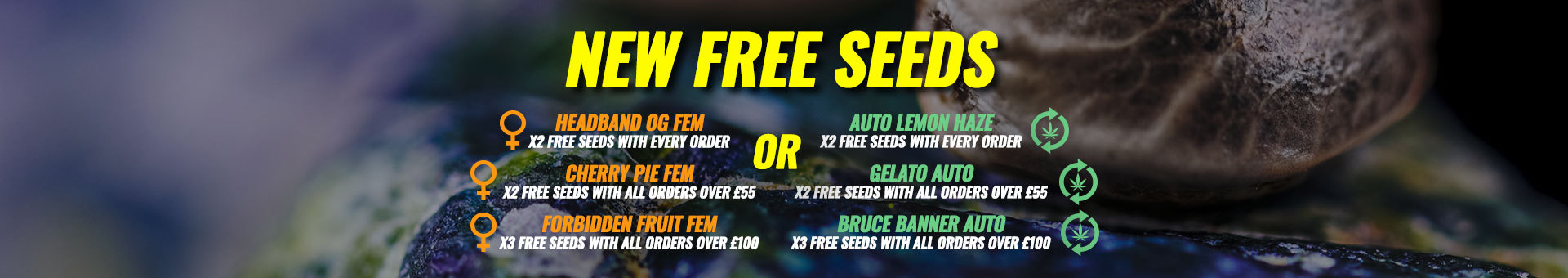 New Free Seeds
