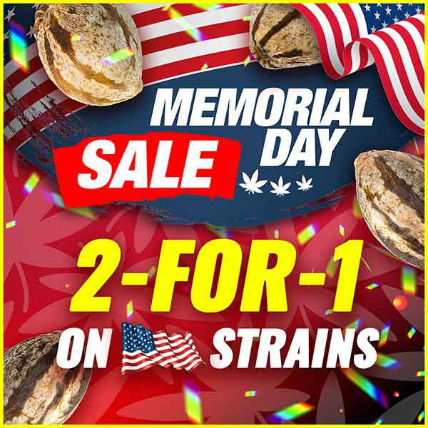 2-For-1 Sale