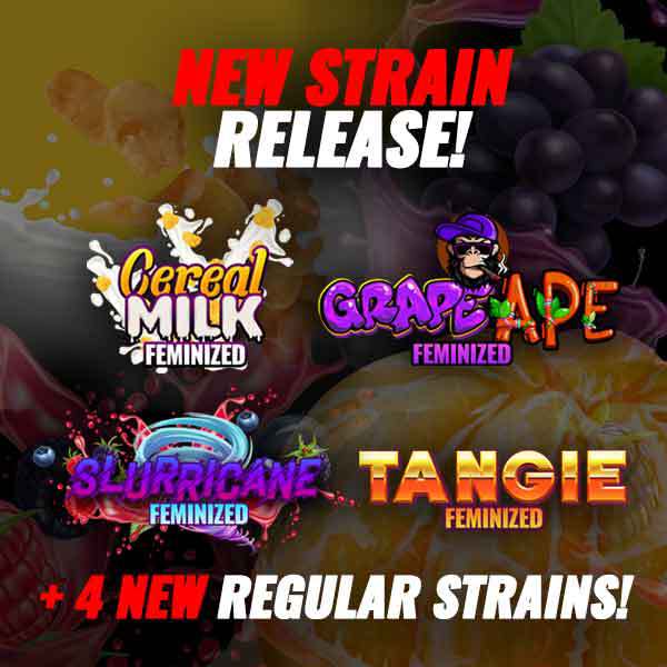 New Strain Release