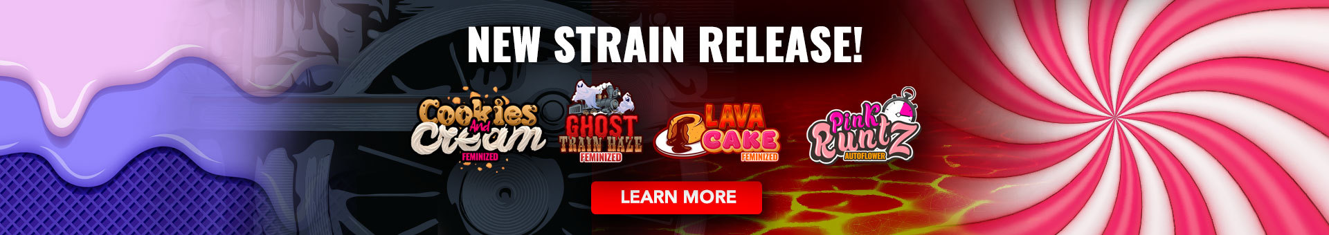 New Strain Release