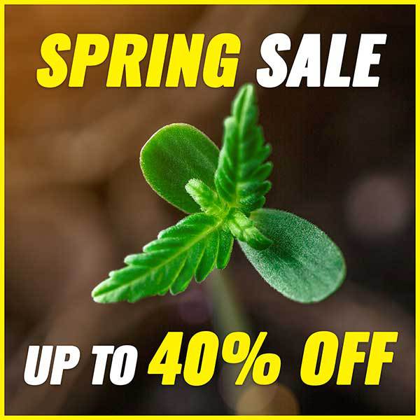 Spring Sale