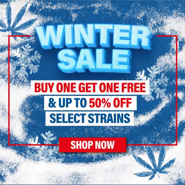 Winter Sale