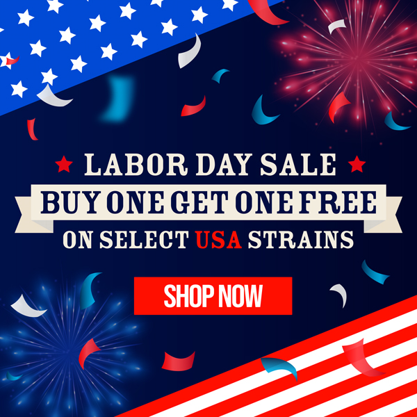 Labor Day Sale
