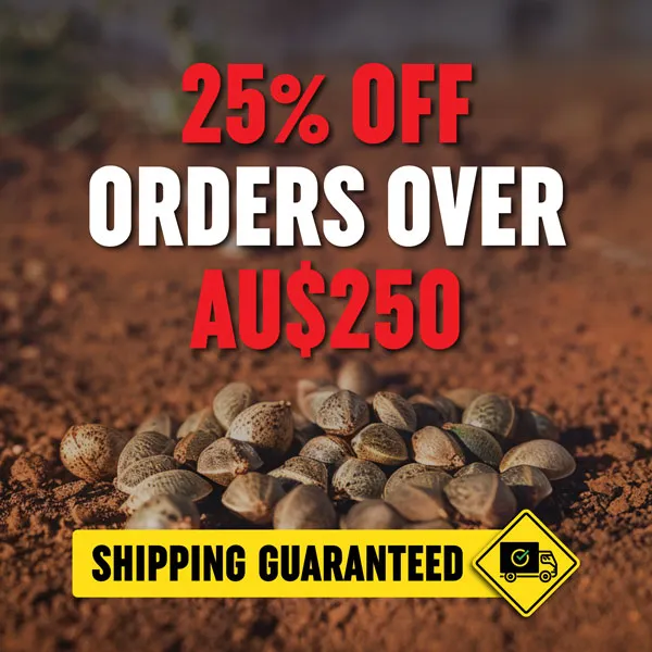 Australia Promo