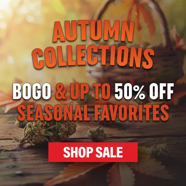 MSNL Autumn Sale 2025