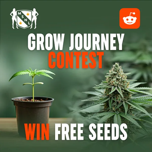Grow Journey Contest