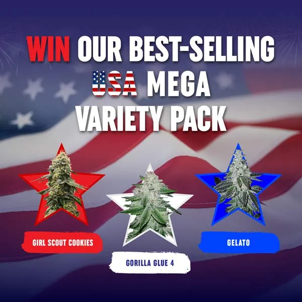 MSNL Independence Day Giveaway 2025