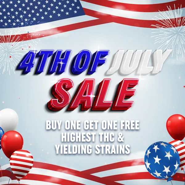 MSNL Independence Day Sale 2025