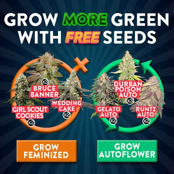 Free Seeds