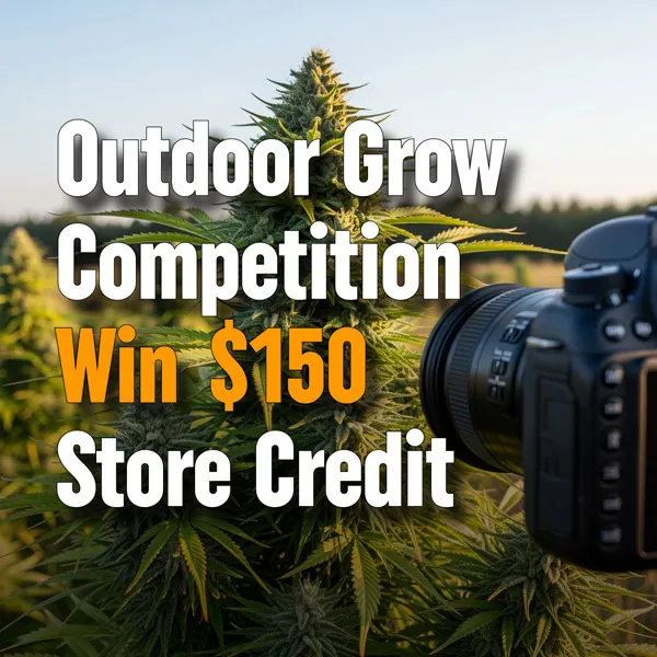 MSNL Outdoor Grow Competition