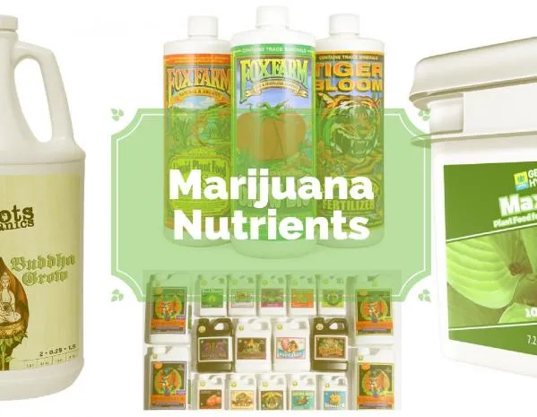 What are the best cannabis nutrient brands?