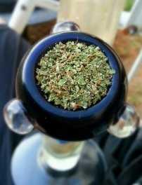 Bongs and Bowls: How to Pack a Bowl of Weed