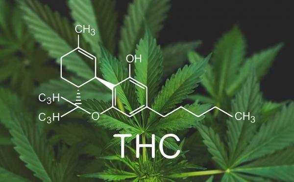 Will THC limits happen? The latest news on compliance state by state