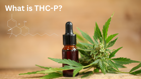 What is THC-P?