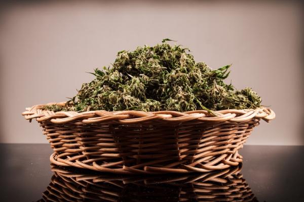 Decarboxylating Cannabis - Why and How.