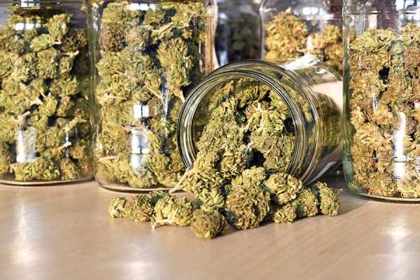 Complete Guide to Drying and Curing Weed