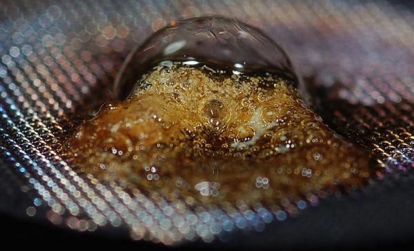What is the Difference between Weed and Hash?