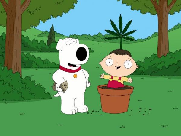 Marijuana In Family Guy