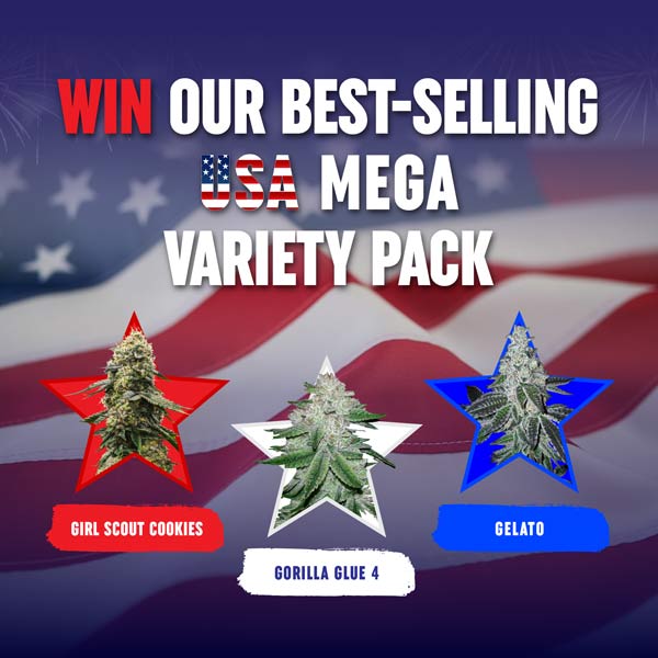 Independence Day Giveaway