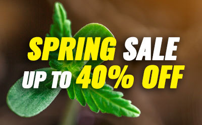 MSNL Spring Sales