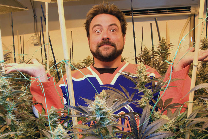 Kevin Smith celebrity interviews about smoking weed