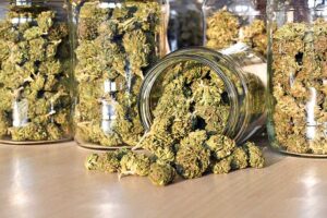 Complete guide to drying and curing cannabis