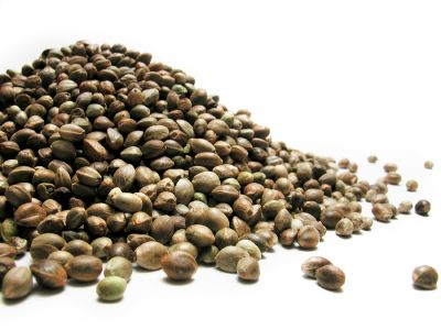 How to store marijuana seeds