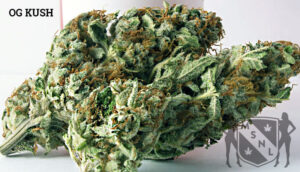 OG Kush