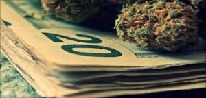 marijuana-money