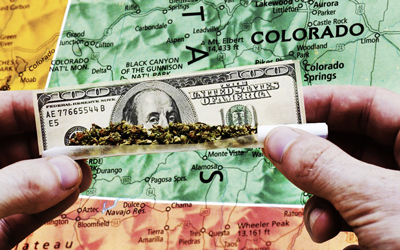 How Much Money Does Legal Weed Make?