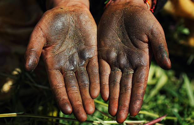 Hash covered hands