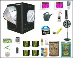 cannabis