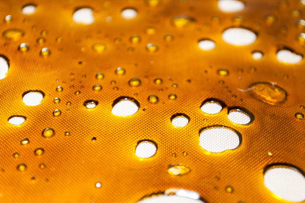 What is Butane Hash Oil (BHO) and how to make it safely?