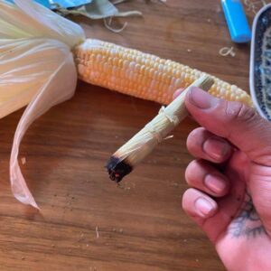 How to roll a Blunt, Spliff or Joint - MSNL Blog