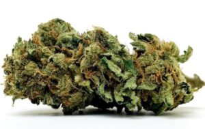 durban-poison-bud-for-party