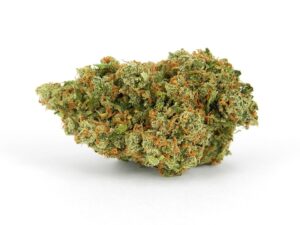 jack-herer-marijuana-for-party