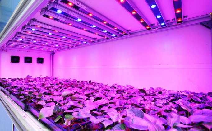 Led lights setup in room deals