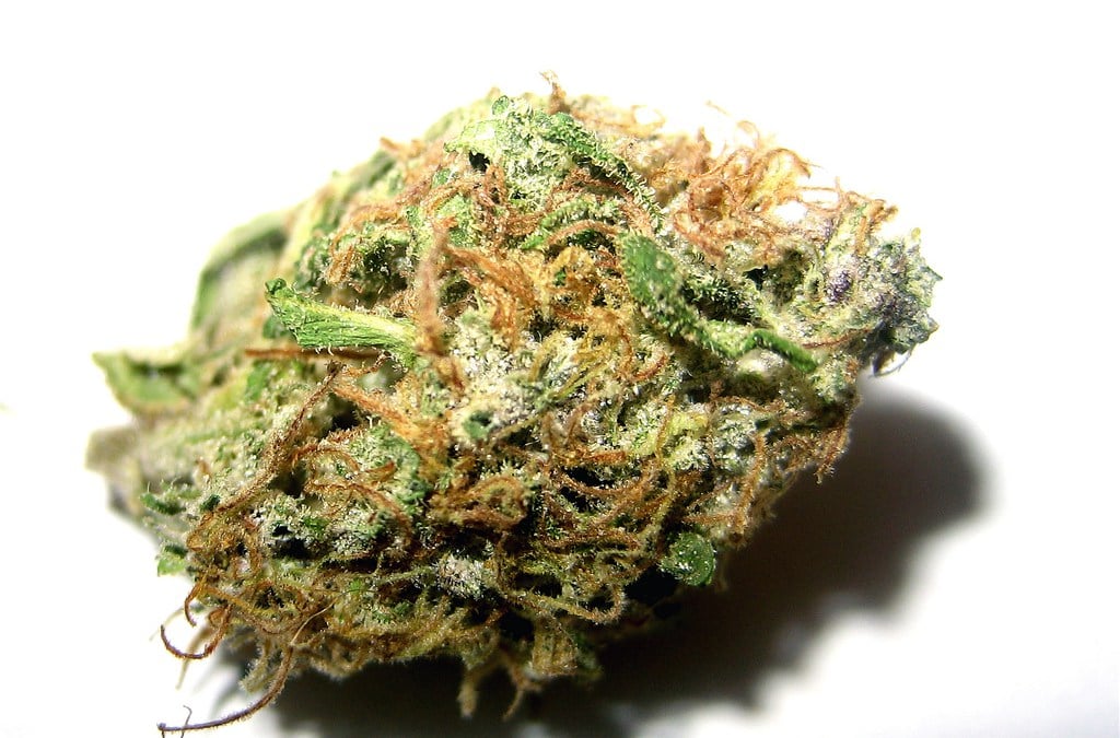Maui-Wowie-indoor-sativa-marijuana-strain