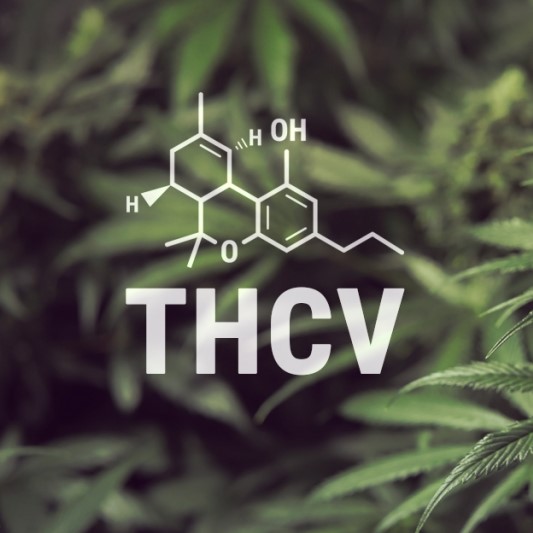 What is THCV and what are its benefits?